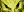 clan icon